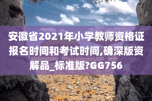 安徽省2021年小学教师资格证报名时间和考试时间,确深版资解品_标准版?GG756