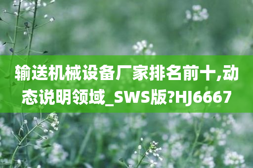 输送机械设备厂家排名前十,动态说明领域_SWS版?HJ6667