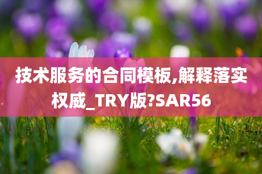 技术服务的合同模板,解释落实权威_TRY版?SAR56