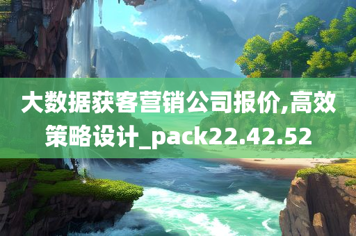 大数据获客营销公司报价,高效策略设计_pack22.42.52