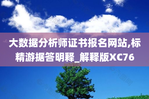 大数据分析师证书报名网站,标精游据答明释_解释版XC76