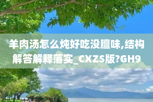 羊肉汤怎么炖好吃没膻味,结构解答解释落实_CXZS版?GH9