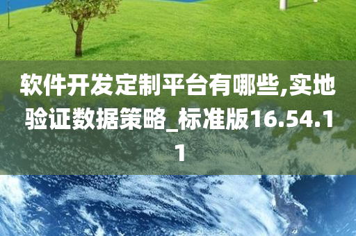 软件开发定制平台有哪些,实地验证数据策略_标准版16.54.11