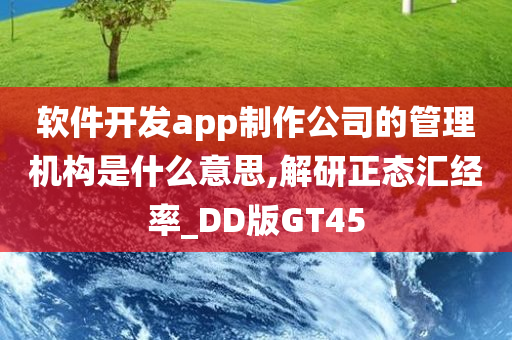 软件开发app制作公司的管理机构是什么意思,解研正态汇经率_DD版GT45