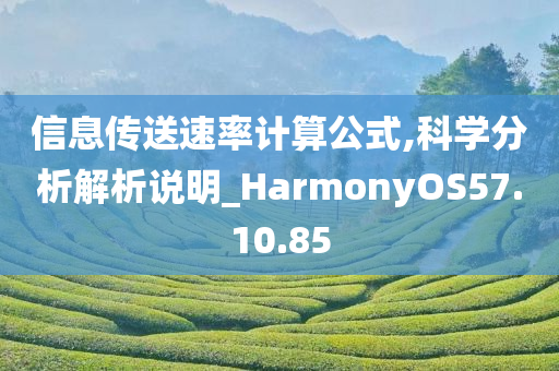 信息传送速率计算公式,科学分析解析说明_HarmonyOS57.10.85