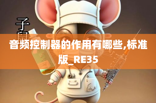 音频控制器的作用有哪些,标准版_RE35