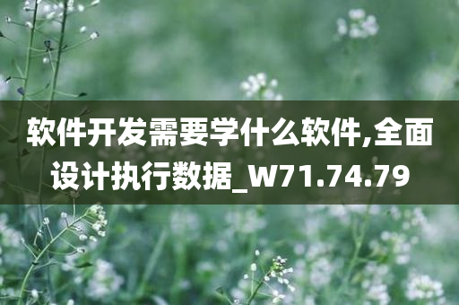 软件开发需要学什么软件,全面设计执行数据_W71.74.79