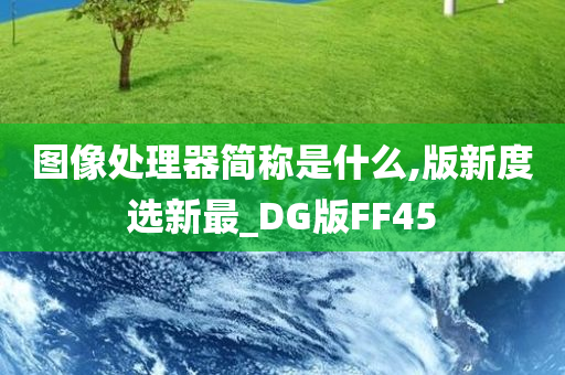 图像处理器简称是什么,版新度选新最_DG版FF45