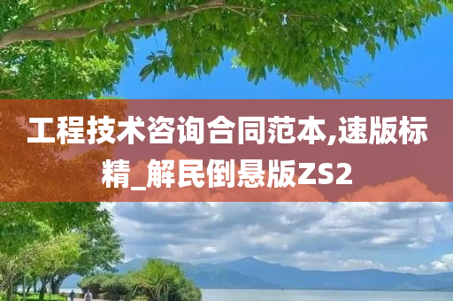 工程技术咨询合同范本,速版标精_解民倒悬版ZS2