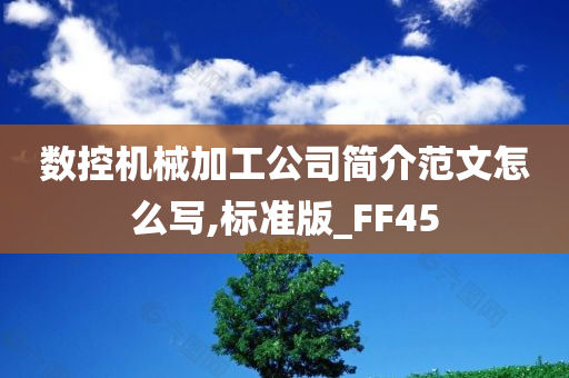 数控机械加工公司简介范文怎么写,标准版_FF45