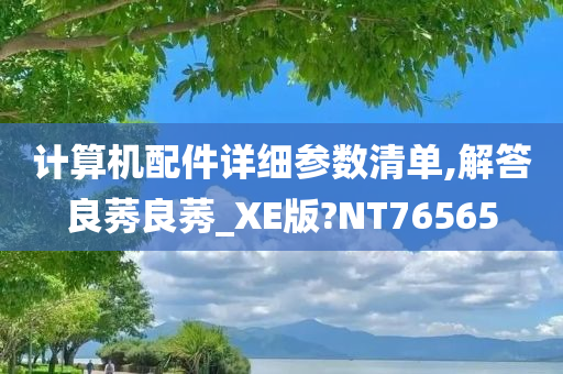 计算机配件详细参数清单,解答良莠良莠_XE版?NT76565