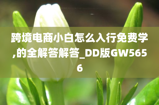 跨境电商小白怎么入行免费学,的全解答解答_DD版GW5656