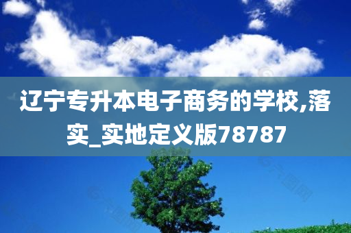 辽宁专升本电子商务的学校,落实_实地定义版78787