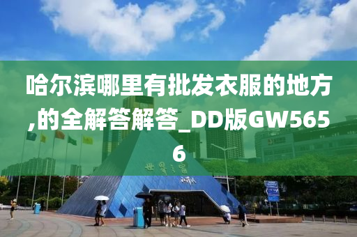 哈尔滨哪里有批发衣服的地方,的全解答解答_DD版GW5656