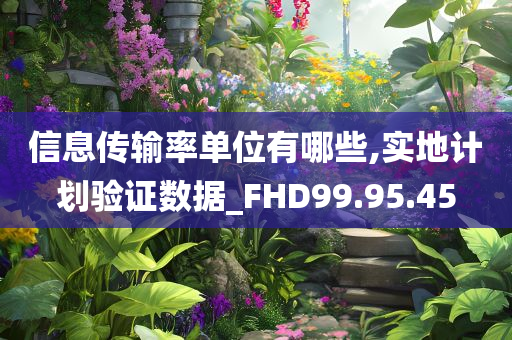 信息传输率单位有哪些,实地计划验证数据_FHD99.95.45