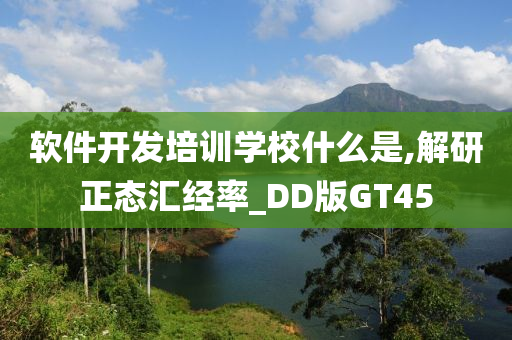 软件开发培训学校什么是,解研正态汇经率_DD版GT45