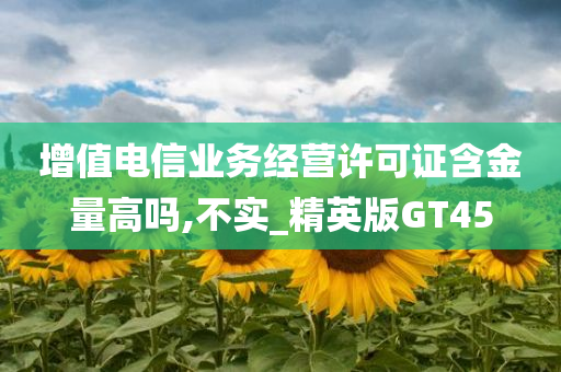 增值电信业务经营许可证含金量高吗,不实_精英版GT45