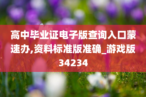 高中毕业证电子版查询入口蒙速办,资料标准版准确_游戏版34234