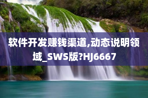 软件开发赚钱渠道,动态说明领域_SWS版?HJ6667