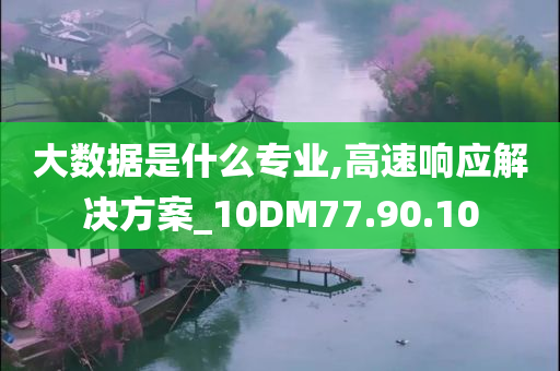 大数据是什么专业,高速响应解决方案_10DM77.90.10