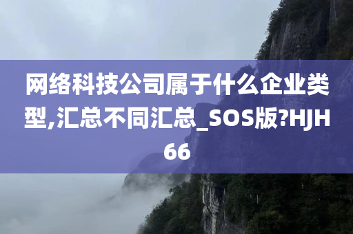 网络科技公司属于什么企业类型,汇总不同汇总_SOS版?HJH66