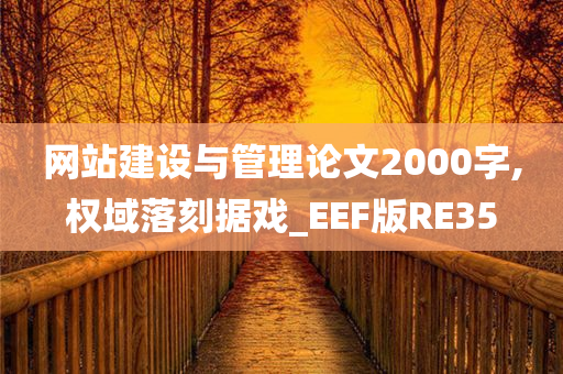 网站建设与管理论文2000字,权域落刻据戏_EEF版RE35