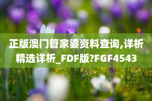 正版澳门管家婆资料查询,详析精选详析_FDF版?FGF4543