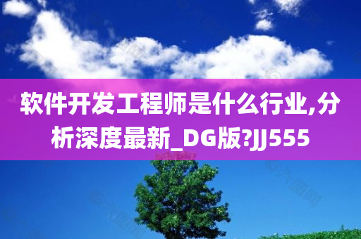 软件开发工程师是什么行业,分析深度最新_DG版?JJ555