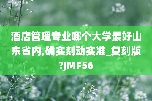 酒店管理专业哪个大学最好山东省内,确实刻动实准_复刻版?JMF56