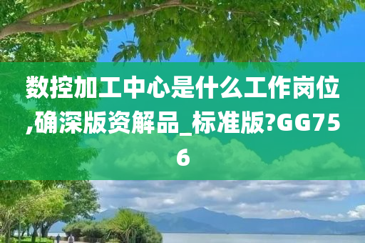 数控加工中心是什么工作岗位,确深版资解品_标准版?GG756