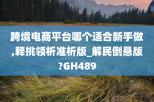 跨境电商平台哪个适合新手做,释挑领析准析版_解民倒悬版?GH489