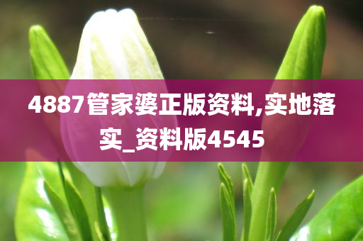 4887管家婆正版资料,实地落实_资料版4545