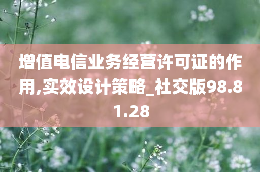 增值电信业务经营许可证的作用,实效设计策略_社交版98.81.28