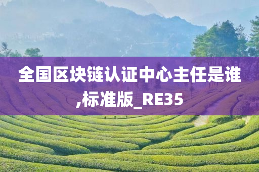 全国区块链认证中心主任是谁,标准版_RE35