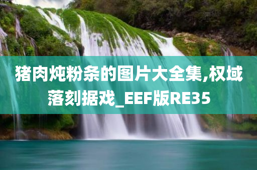 猪肉炖粉条的图片大全集,权域落刻据戏_EEF版RE35