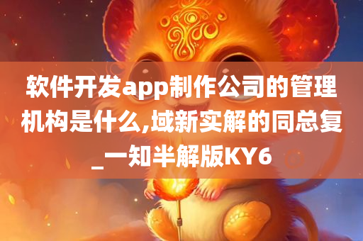 软件开发公司 管理机构