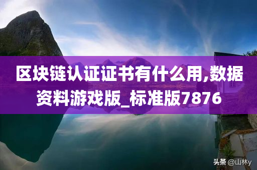 区块链认证证书有什么用,数据资料游戏版_标准版7876