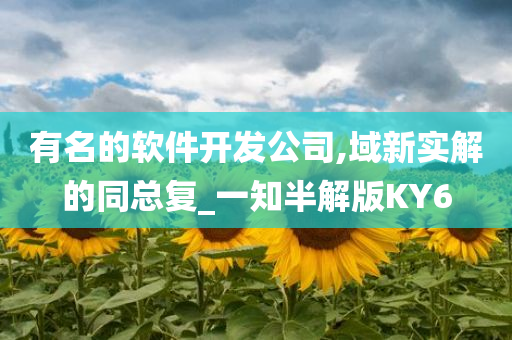 有名的软件开发公司,域新实解的同总复_一知半解版KY6