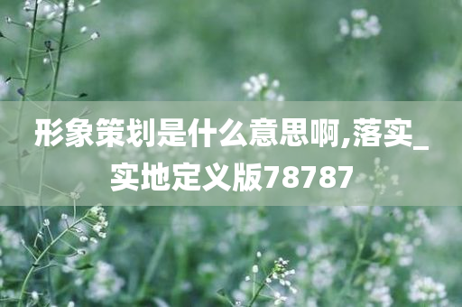 形象策划是什么意思啊,落实_实地定义版78787