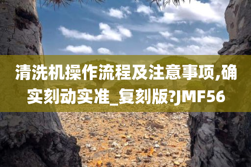 清洗机操作流程及注意事项,确实刻动实准_复刻版?JMF56