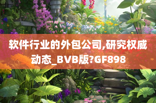 软件行业的外包公司,研究权威动态_BVB版?GF898