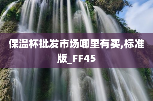 保温杯批发市场哪里有买,标准版_FF45