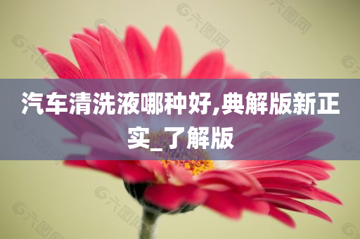 汽车清洗液哪种好,典解版新正实_了解版