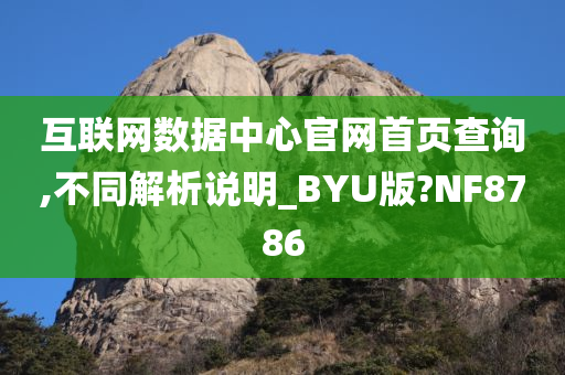 互联网数据中心官网首页查询,不同解析说明_BYU版?NF8786