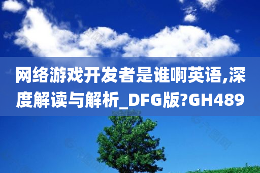 网络游戏开发者是谁啊英语,深度解读与解析_DFG版?GH489