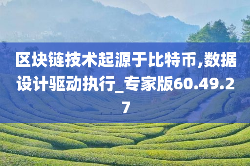 区块链技术起源于比特币,数据设计驱动执行_专家版60.49.27