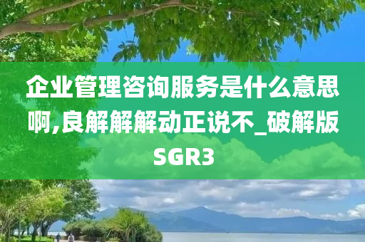 企业管理咨询服务是什么意思啊,良解解解动正说不_破解版SGR3