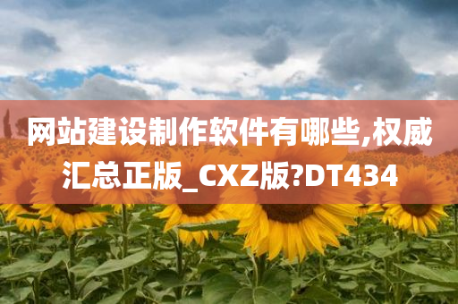 网站建设制作软件有哪些,权威汇总正版_CXZ版?DT434