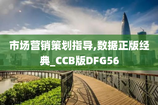 市场营销策划指导,数据正版经典_CCB版DFG56