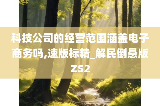 科技公司的经营范围涵盖电子商务吗,速版标精_解民倒悬版ZS2